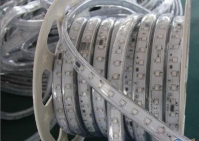 China 24V digital dream color rgb led strip 50m/roll for sale