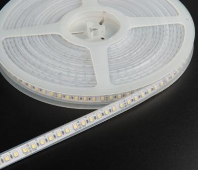 China Ultra Long 24V CCT Tunable White Dual White CW+WW LED Strip color temperature adjustable 120LEDs/m for sale