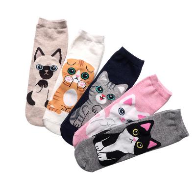 China TY-1013 Cute Cartoon Cat Dog Cotton Teenage Girls Animal Ankle Socks Women Cute Soft High Quality QUICK DRY Low for sale