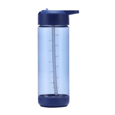 China Sustainable Sports Water Bottle With Straw And Handle BPA Free 600ML Lid for sale