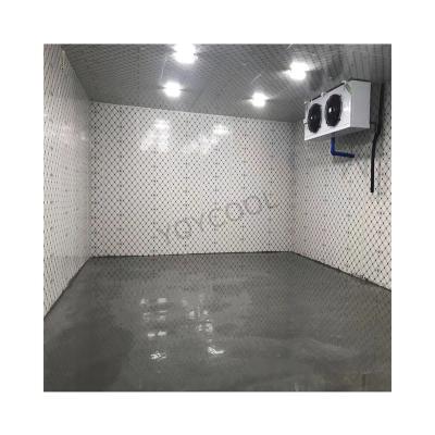 China frozen food storage or others solar cold room price,mobile cold room compressor for sale,container cold room for seafood for sale