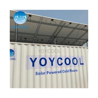 China Cold Storage Solar Power Cooler Solar Room Refrigerant Solar Frozen Food Storage Or Others Container for sale