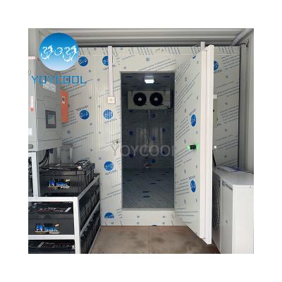 China Portable Solar Generator Commercial Solar Cold Room Price Solar Frozen Food Storage Or Others for sale