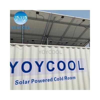 China 20ft Container Freezer Price Cooling Room Solar Freezer Refrigerator Storage Or Others Frozen Food Container for sale