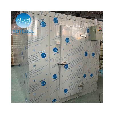 China Cold Storage Room Freezer Customer Cold Room Mini Cold Storage Tomato Cold Room Walk In Cooler / Freezer NUMBER ONE In Container USA for sale