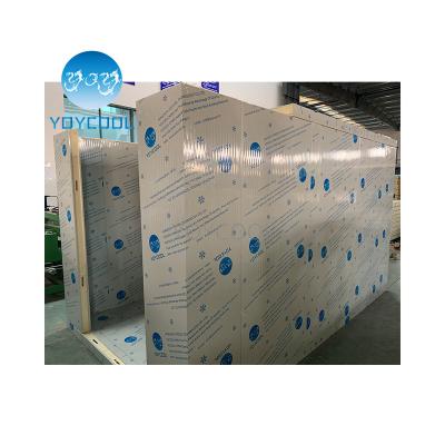 China Commercial Cold Room Freezer Room 30mm Cold Room Panel Walk In Chiller / Condenser Freezer for sale