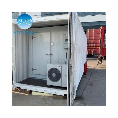 China Frozen Food Storage Or Others BEST Fridge Container 40ft 20ft Freezer Container Walk In Freezer Storage Cold Storage Refrigeration for sale