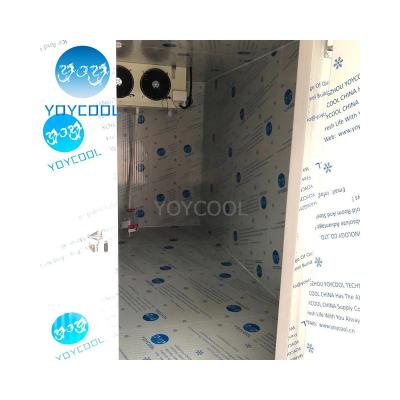 China Frozen Food Storage Or Others Refrigerated Container For Papaya Container Cold Room 40ft Export To Vientiane Portable Cooling Room for sale