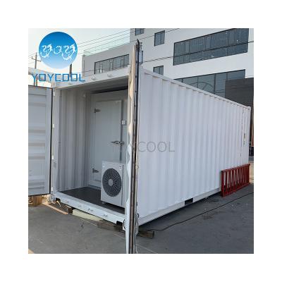 China Frozen Food Storage Or Others Refrigerated Container For Mangosteen Container Cold Room 40ft Export To Myanmar Mobile Cold Storage Room for sale