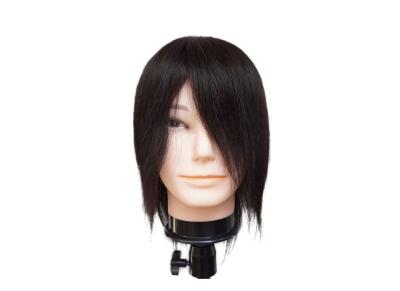 China Mannequin Wig Display Product  European Men Mannequin Head For Wig  Male Mannequin Head With Hair Human Hair Manikin for sale