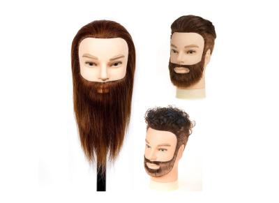 China Romance Queen Male Mannequin Head With Hair Human Hair Manikin For Men Cosmetology 8inch Manikin Head With Human Hair for sale