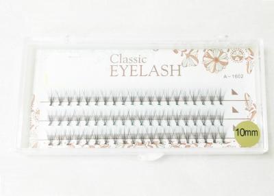 China 4 Cases 8/10/12/13 Mm Individual Flare False Eyelashes 10 Hairs / Cluster False Eyelashes for sale