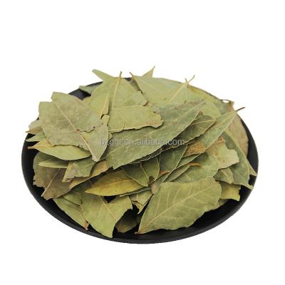 China Dry bay leaf by dry bay leaf production of bay leaf, Laurel Leaf Daphne Fair Average quality bay leaf, bay leaf for sale