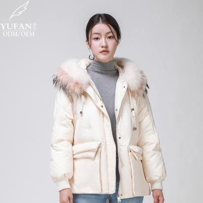 China 2023 New Duck Down Jacket Female Stand Collar Stripper Coat Thin Short Winter Cheap Breathable Coated For Women Winter Down Jacket for sale