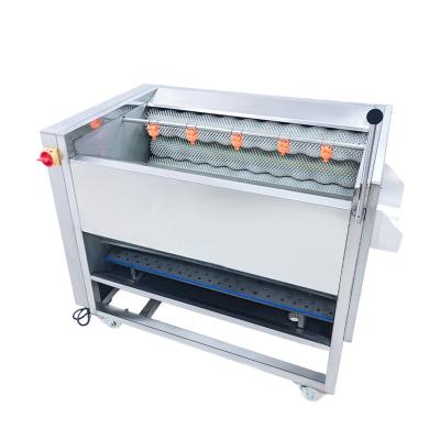 China Snack food factory New Root Vegetable Ginger Cleaning Peeling Processing Equipment 304 Stainless Steel Root Vegetable Washing Peeling Machine for sale