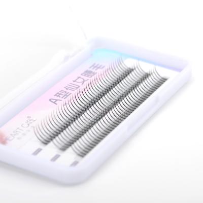 China Soft Individual Volume Lashes Premade Eyelash Extensions Wholesale 3d Pre Made Fans Type A Eyelash Extensions Eyelash Extensions for sale