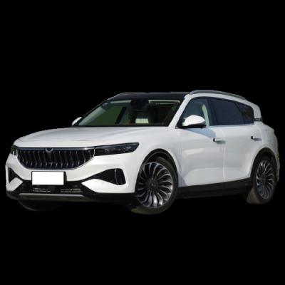 China Made In China Time 631km New Energy EV Pure Electric Fast Charging Vehicles SUV VOYAH FREE 4 Wheel 4905*1950*1645mm for sale