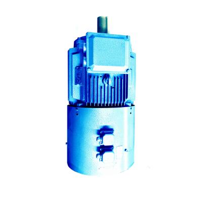 China YE2-180L-6 15KW 980RPM AC 3 Brushless Three Phase Induction Totally Enclosed Electric Motor for sale