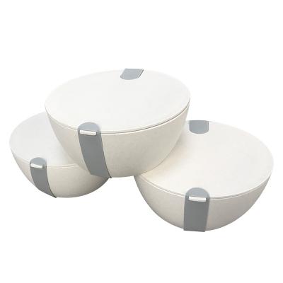 China New Round Leak-Proof Bowl BPA Free Leakproof Kitchenware Biodegradable Lunch Box Wheat Straw Lunch Box for sale