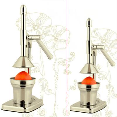 China Eco - Friendly Nafu Brand Fruit Juice Press Machine for sale