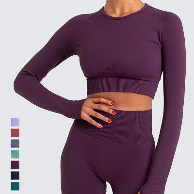 China Breathable Gym Fitness Sets Crop 2021 Woman Crop Top Ribbed Long Sleeve Set Long Leggings Seamless Yoga Suit High Quality for sale