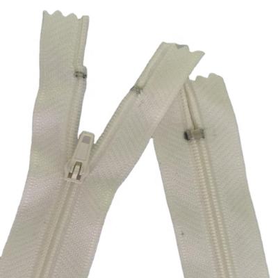 China #5 Nylon Nylon Zipper Customized Length In Roll With Normal Teeth for sale