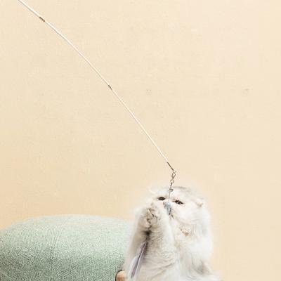 China Wholesale Cat Toy Laser Cat Funny Stick Toy Unique Series Feather Bell Retractable Head Optional With Funny Cat Stick for sale