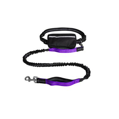 China Pet Leashes Factory Direct Sales Store Easily and Access Smartphone Purple Dog Leash for sale