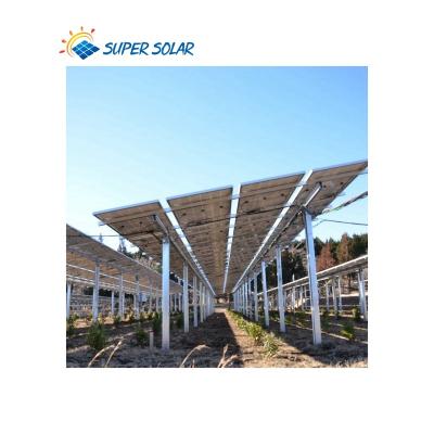 China China Super Solar Agricultural Solar Mounting System SS-MOT-18010 Manufacture for sale