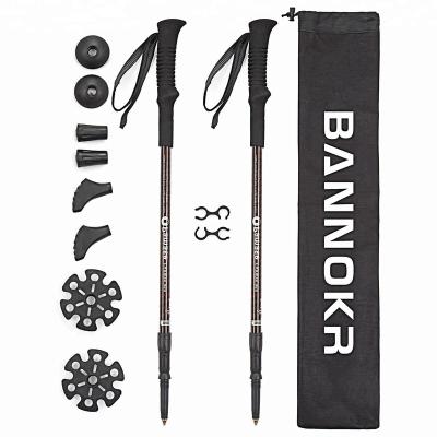 China Outdoor Nordic Ultra Light 100% Carbon Fiber Walking Canes Hiking Hiking Sticks With Internal Lock for sale