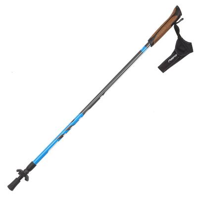 China Outdoor Sports Increasing Sections Cane Plastic Outdoor Retractable Durable Nordic Walking Sticks 2 Sticks And Cork Grip Factory Price for sale