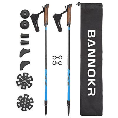 China New Style 2 Sections EVA Outdoor Lightweight Plastic Lock And Cork Grip Grip Nordic Walking Pole for sale