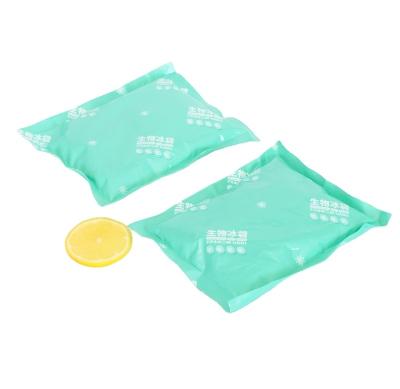 China Food Delivery Storage Customized Reusable Food Storage Gel Ice Packs for sale