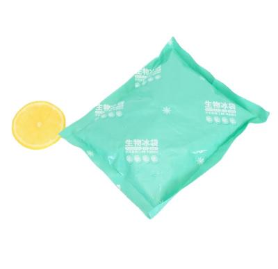 China Food Delivery Storage Biological Ice Pack Portable Plastic Ice Pack For Durable Food Delivery Freeze Fresh Keeping Cold Pack for sale