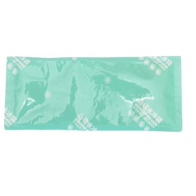 China Disposable Water Absorbed Dry Ice Pack Water Flexible Absorbed Dry Ice Pack for sale