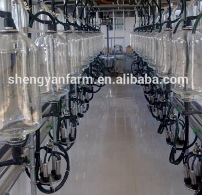 China food & Fully Automatic Glass Beverage Plant Milk Meter Herringbone Milking Parlor For Cows for sale