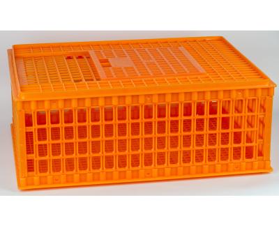 China Chicking farm chicken cage poultry plastic transport crate, square plastic crate, transport crates for live poultry for sale