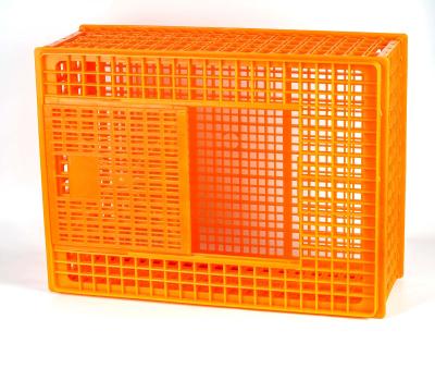 China Farms Transport Cage Chicken Farm Equipment Used Plastic Poultry Crates Transport Cage For Chicken for sale