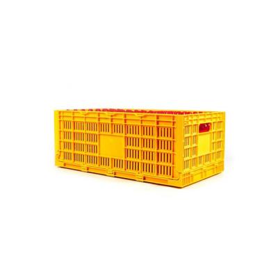 China Farms Collapsible Transport Crate Plastic Chicken Egg Carrier Cage For Chicken House for sale