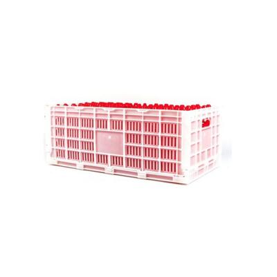 China Stackable Egg Farms Tray Cage Plastic Poultry Egg Transport Crate For Chicken House for sale