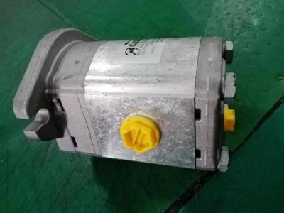 Κίνα B220501000269 Caspar Hydraulic Gear Pump MOTOR PLM20.20R5-48WC-LTG/TG-N FS-D For PM Concrete Pump Truck προς πώληση