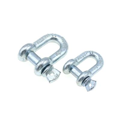 China Heavy Industry G210 Carbon Steel Screw Pin Lifting D Shackle Forged Marine Dee Shackle Anchor Chain for sale