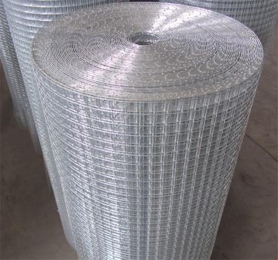 China Fence Mesh 1x1 Welded Wire Mesh Welded Wire Mesh FenceHot Dipped Galvanized Welded Wire Mesh for sale