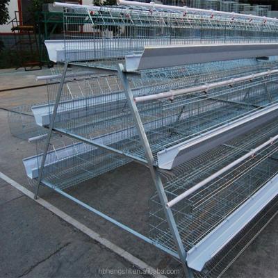 China mink welded metal mesh/chicken farm/bird cage welded mesh for sale