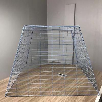 China Chicken race cages collapsible rooster cages/collapsible chicken cage/gamefowl rooster show cage for sale