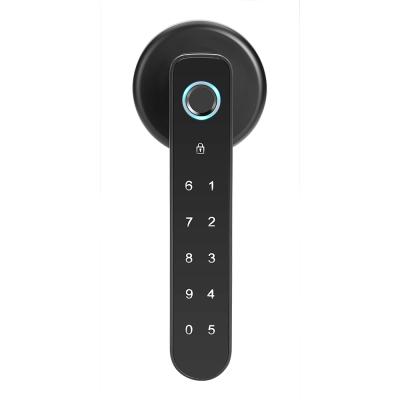 China Password/Card Smart Lock TTlock/Security Fingerprint Smart Key High Quality Electric Exterior Door for sale