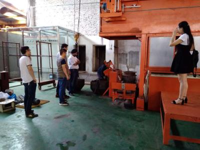 China 12mm160mm Hete Onderdompeling die Op hoge temperatuur Machine voor Gesmede Gegalvaniseerde Hexuitdraaibouten galvaniseren, Gegalvaniseerde Structurele Bouten  Te koop