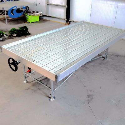 China Clear Greenhouse Hydroponic System For Large Plants Dip And Drip Rolling Bench for sale