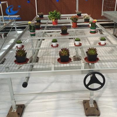 China Economical And Practical Horticultural Greenhouse Steel Rolling Mesh Bench / Table For Flowers for sale