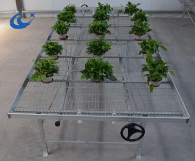 China New Economical And Practical Premium Clean Stainless Steel Greenhouse Benches With Iron Frame Table Base for sale